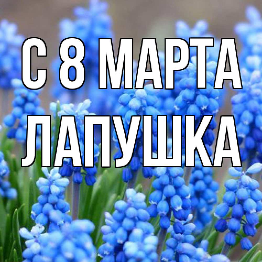 Открытка на каждый день с именем, лапушка C 8 МАРТА Поздравительная открытка для женщин с цветами на праздничную дату Прикольная открытка с пожеланием онлайн скачать бесплатно 