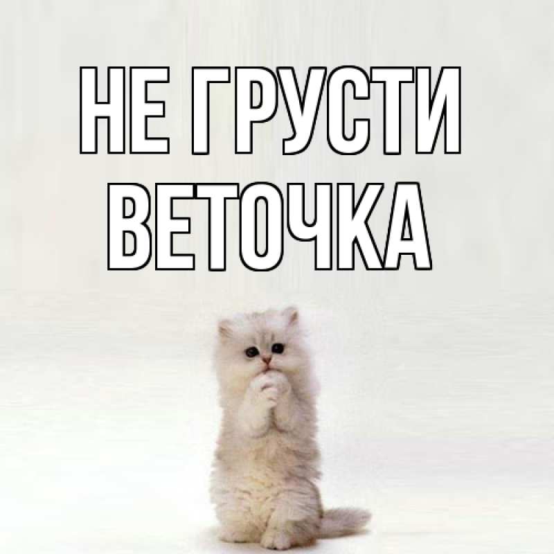 Картинка Не грусти, Веточка