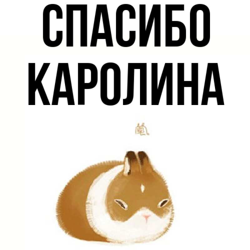 Картинка Спасибо, Каролина