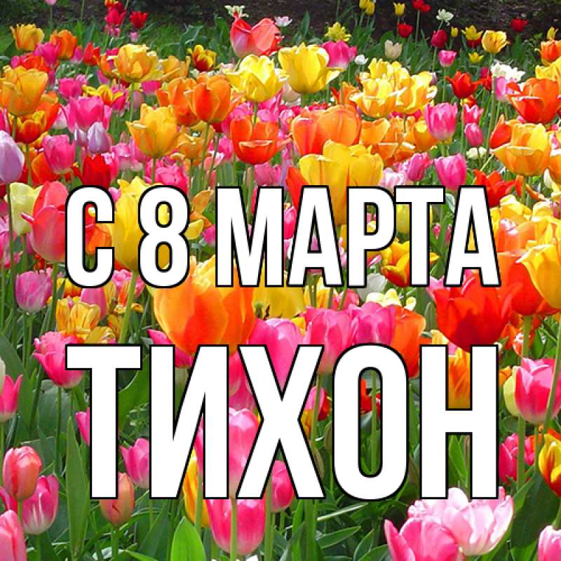 Картинка C 8 МАРТА, Тихон
