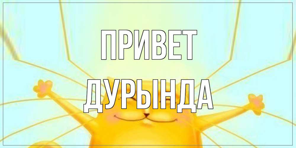 Открытка на каждый день с именем, Дурында Привет кот Прикольная открытка с пожеланием онлайн скачать бесплатно 