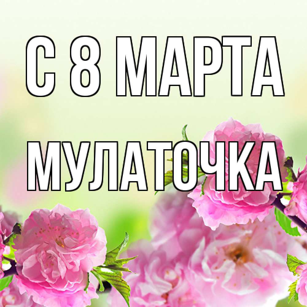 Открытка на каждый день с именем, Мулаточка C 8 МАРТА цветы Прикольная открытка с пожеланием онлайн скачать бесплатно 