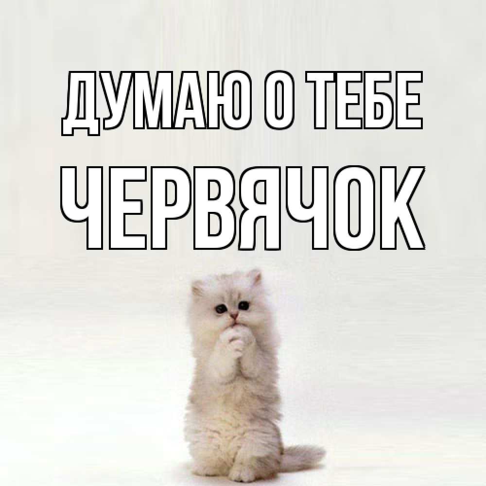 Открытка на каждый день с именем, Червячок Думаю о тебе кот стоит на задних лапах Прикольная открытка с пожеланием онлайн скачать бесплатно 
