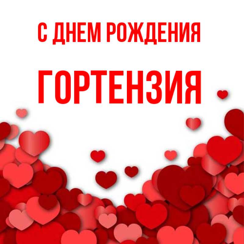 Картинка С днем рождения, Гортензия