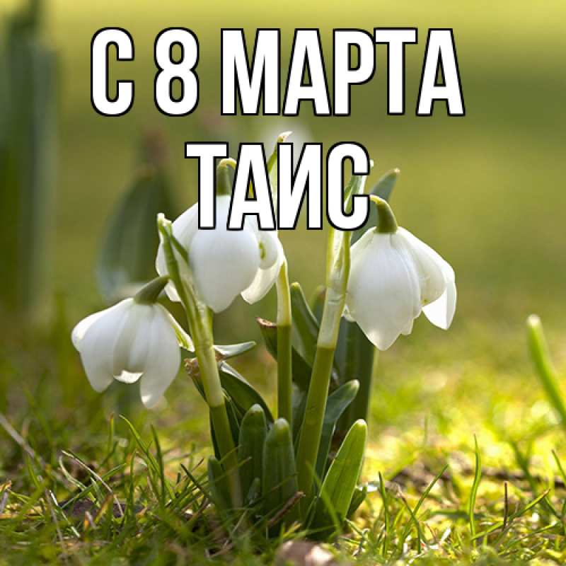 Картинка C 8 МАРТА, Таис