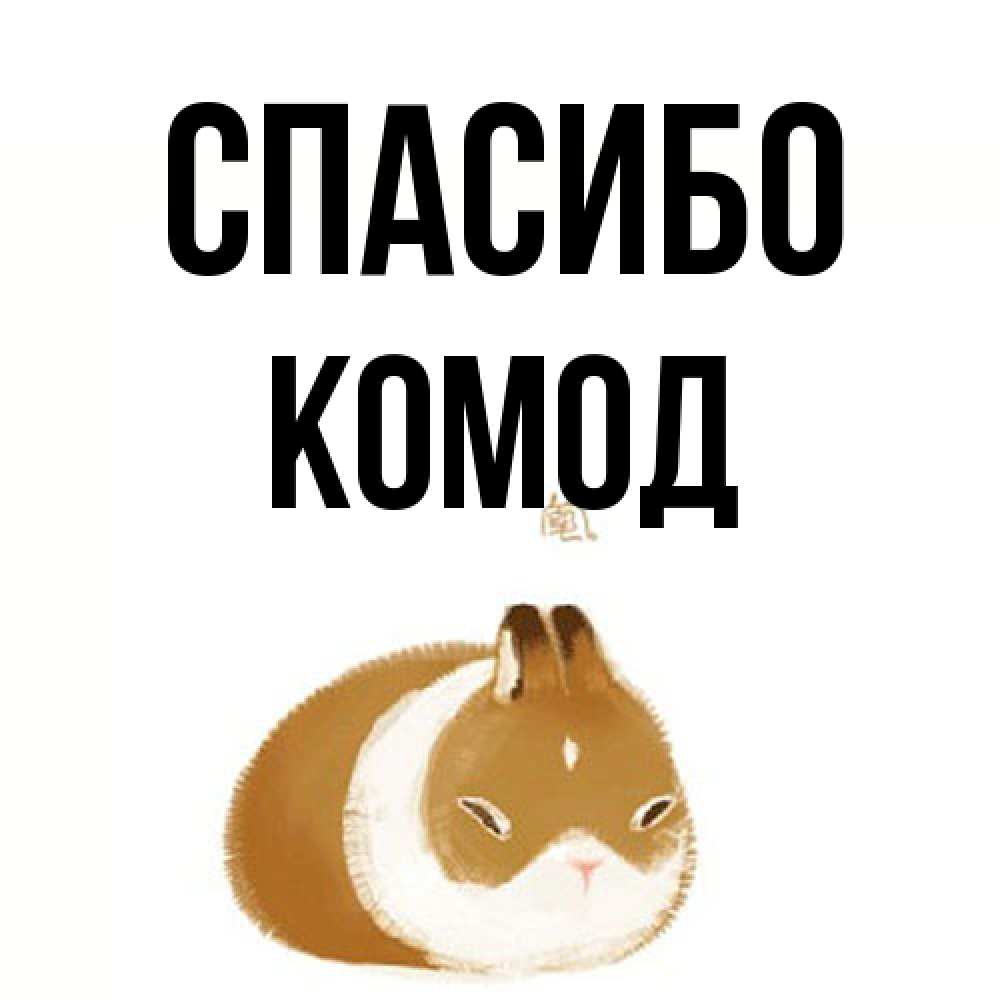 Открытка на каждый день с именем, Комод Спасибо коричнево белый домашний питомец Прикольная открытка с пожеланием онлайн скачать бесплатно 