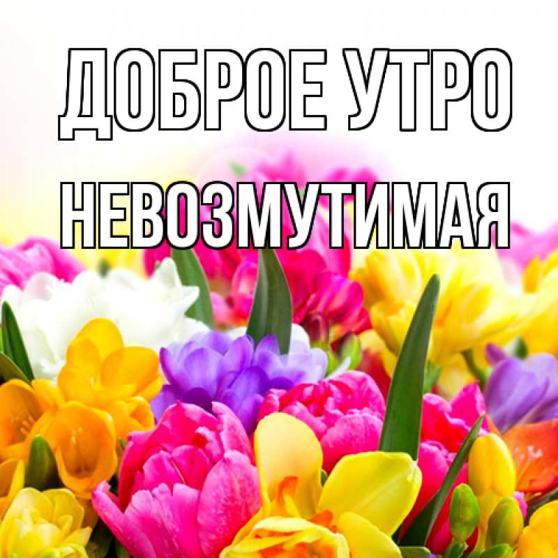 Картинка Доброе утро, Невозмутимая