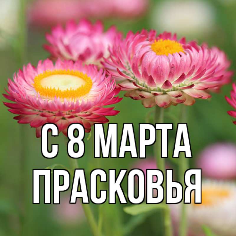 Картинка C 8 МАРТА, Прасковья