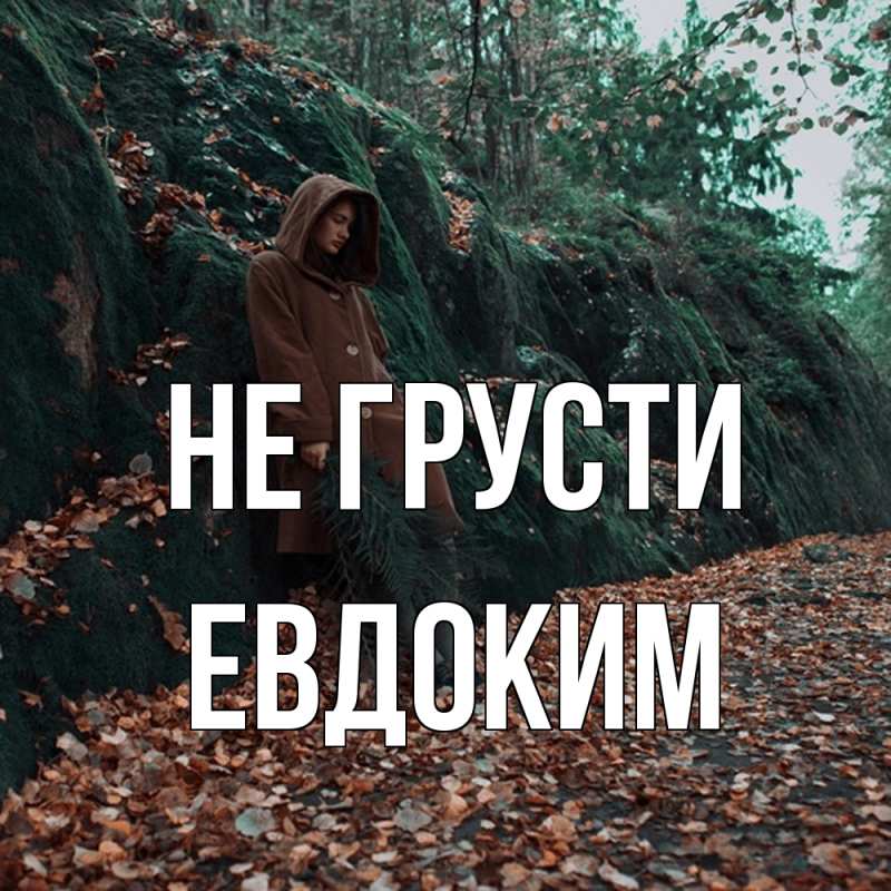 Картинка Не грусти, Евдоким