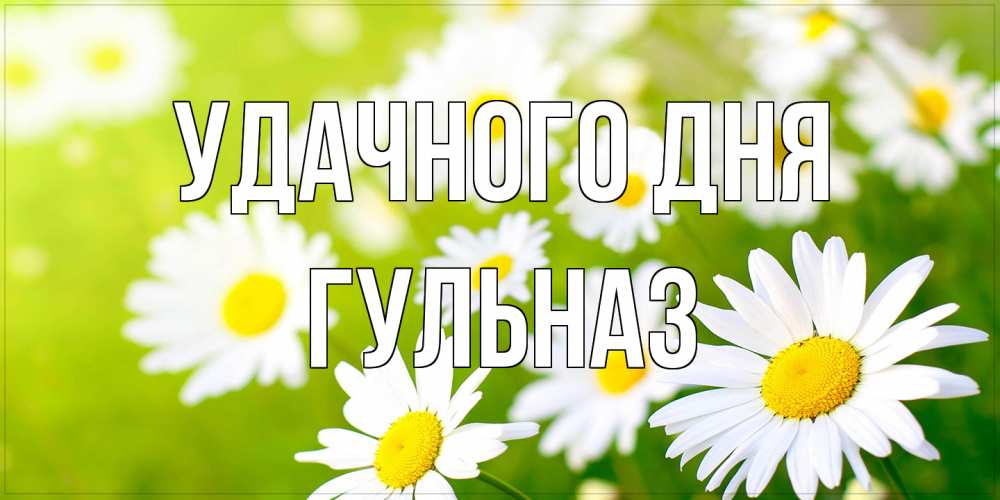 Открытка на каждый день с именем, Гульназ Удачного дня открытка с ромашками на зеленом фоне Прикольная открытка с пожеланием онлайн скачать бесплатно 