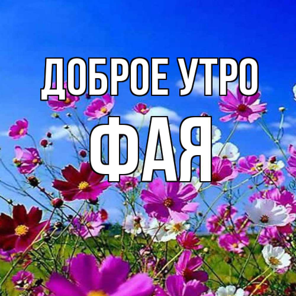 Открытка на каждый день с именем, Фая Доброе утро сиреневые цветы Прикольная открытка с пожеланием онлайн скачать бесплатно 