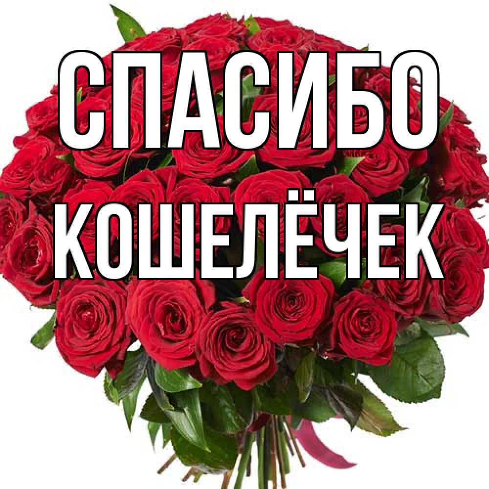 Открытка на каждый день с именем, кошелёчек Спасибо букет красных роз Прикольная открытка с пожеланием онлайн скачать бесплатно 