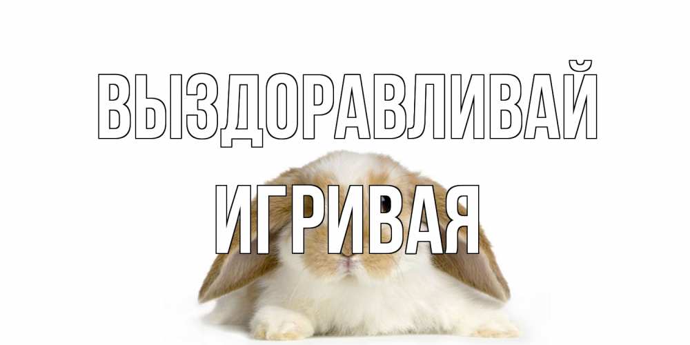 Открытка на каждый день с именем, игривая Выздоравливай вислоухий кролик белого и коричневого цвета Прикольная открытка с пожеланием онлайн скачать бесплатно 