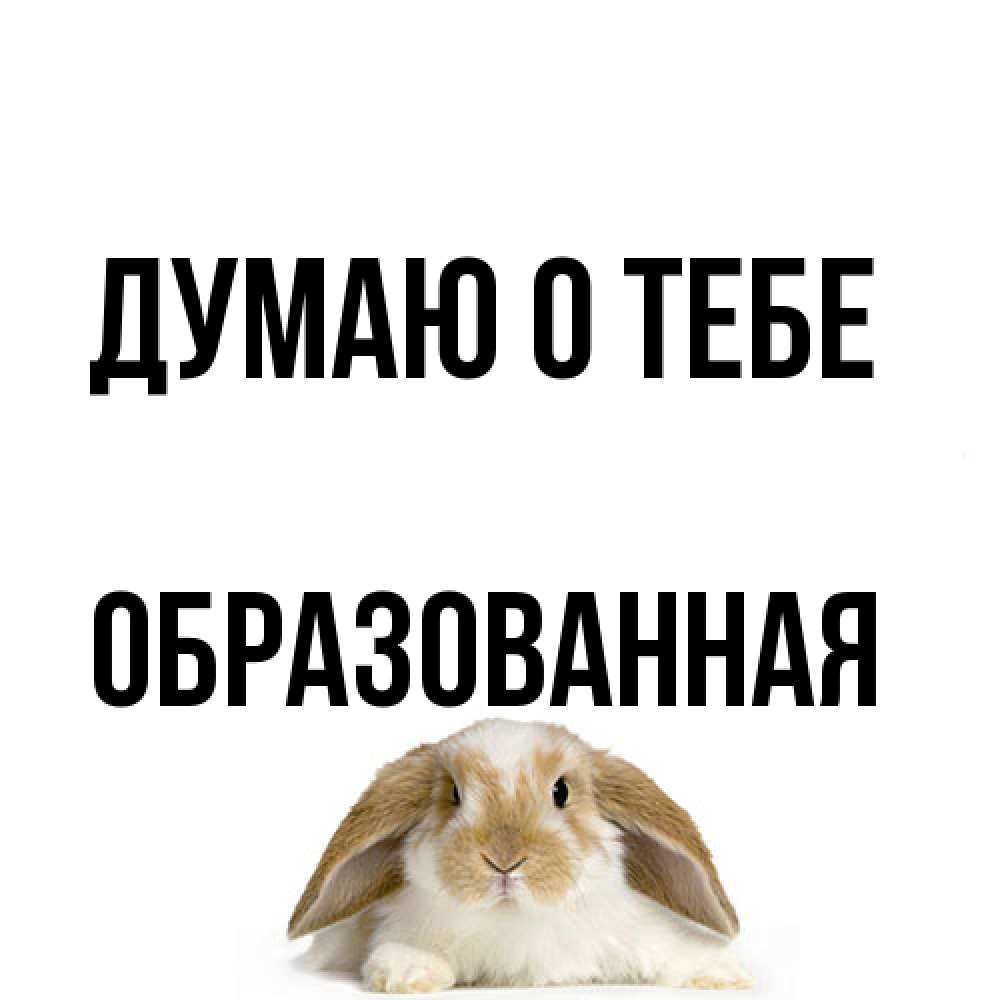 Открытка на каждый день с именем, Обpазованная Думаю о тебе подписать своими руками онлайн Прикольная открытка с пожеланием онлайн скачать бесплатно 