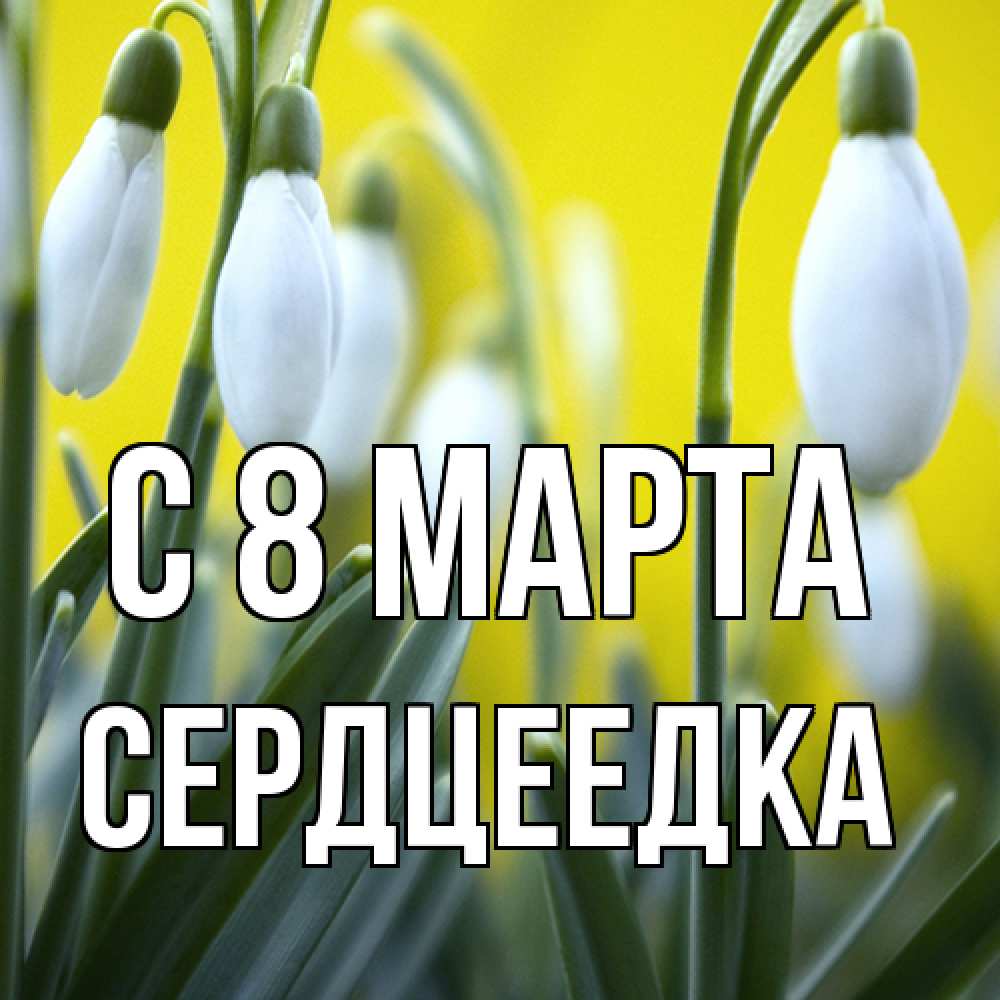 Открытка на каждый день с именем, сердцеедка C 8 МАРТА весенние цветы Прикольная открытка с пожеланием онлайн скачать бесплатно 