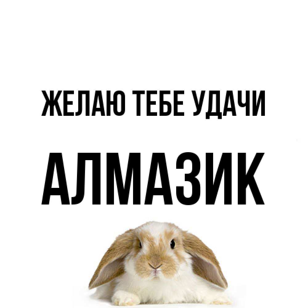 Открытка на каждый день с именем, Алмазик Желаю тебе удачи открытки с произвольным текстом который можно вставить в открытку и создать ее самостоятельно бесплатно онлайн Прикольная открытка с пожеланием онлайн скачать бесплатно 