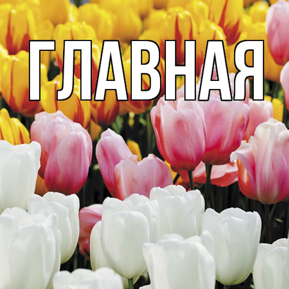 Открытка на каждый день с именем, Анна Главная разноцветные цветы Прикольная открытка с пожеланием онлайн скачать бесплатно 