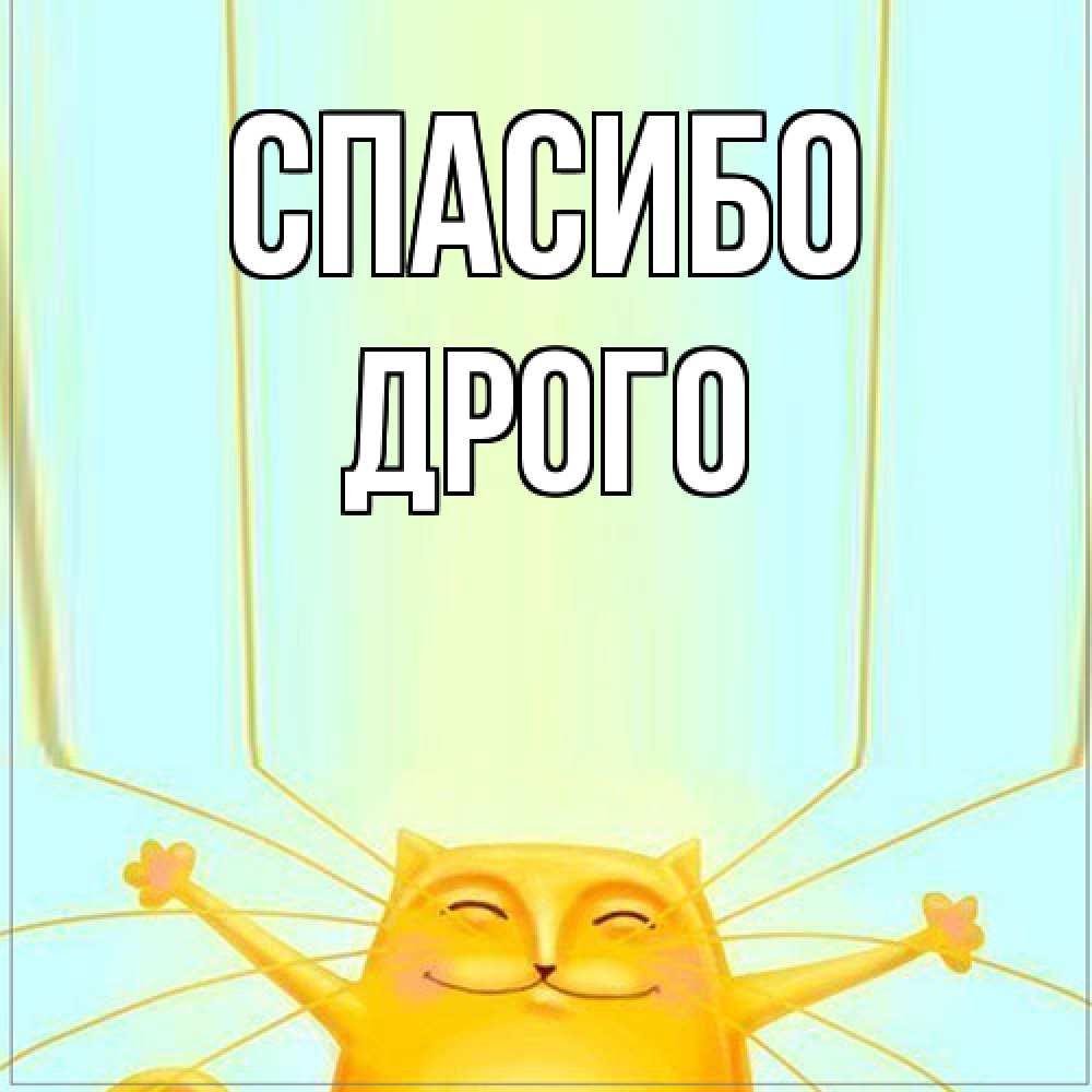 Открытка на каждый день с именем, Дрого Спасибо кот с усами благодарит Прикольная открытка с пожеланием онлайн скачать бесплатно 