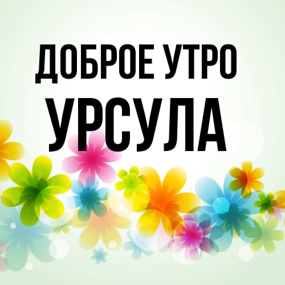 Открытка на каждый день с именем, Урсула Доброе утро позитивные цветочки Прикольная открытка с пожеланием онлайн скачать бесплатно 