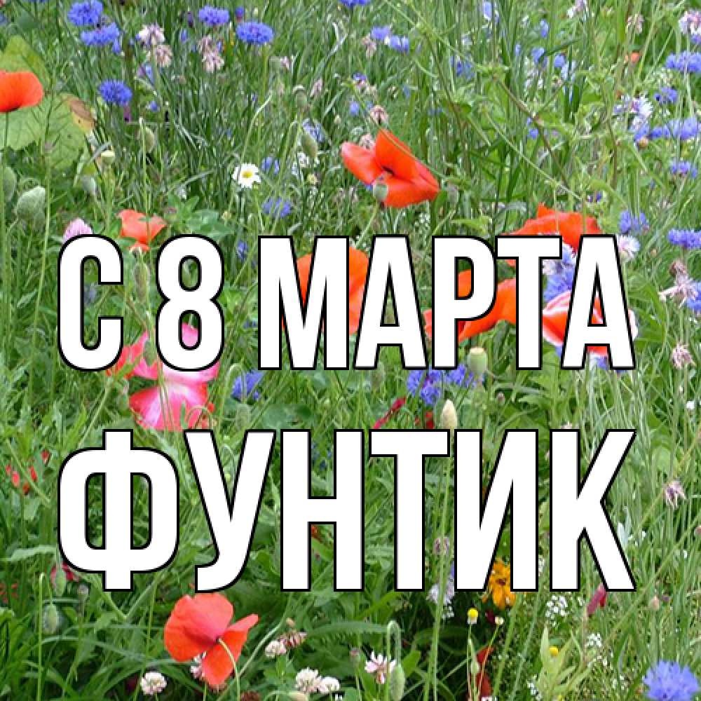 Открытка на каждый день с именем, фунтик C 8 МАРТА международный женский день 4 Прикольная открытка с пожеланием онлайн скачать бесплатно 