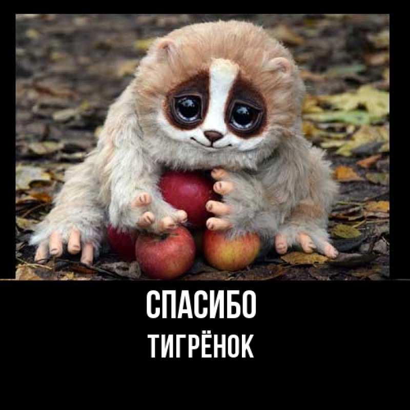 Картинка Спасибо, Тигрёнок