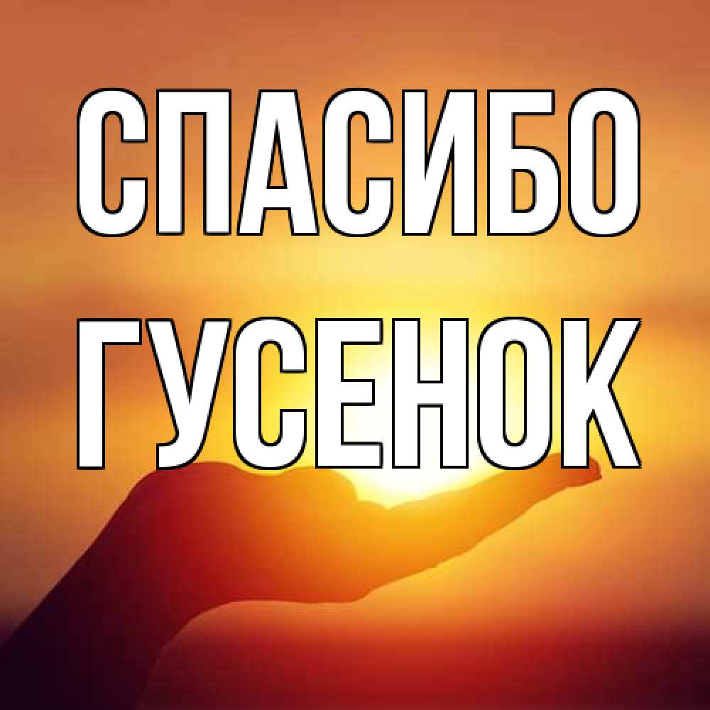Открытка на каждый день с именем, гусенок Спасибо закат Прикольная открытка с пожеланием онлайн скачать бесплатно 