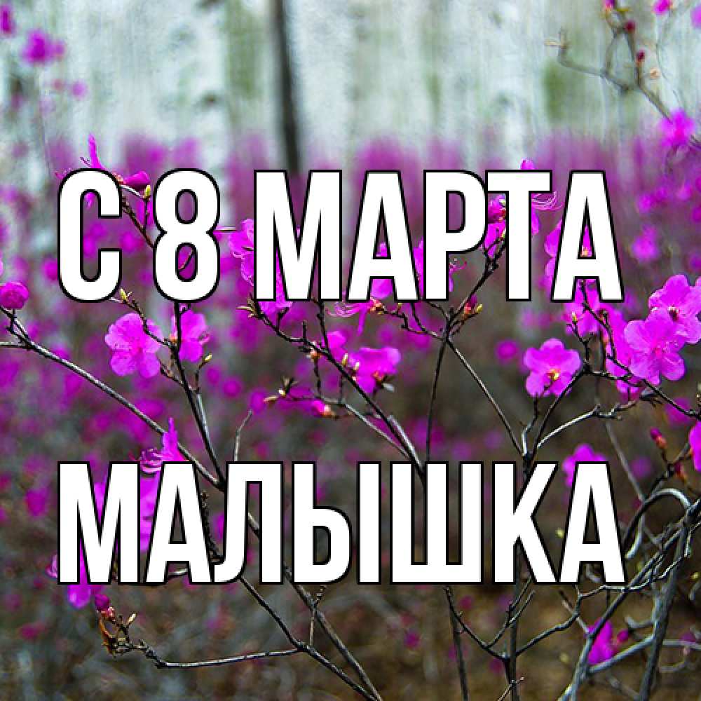 Открытка на каждый день с именем, малышка C 8 МАРТА дикие цветы Прикольная открытка с пожеланием онлайн скачать бесплатно 