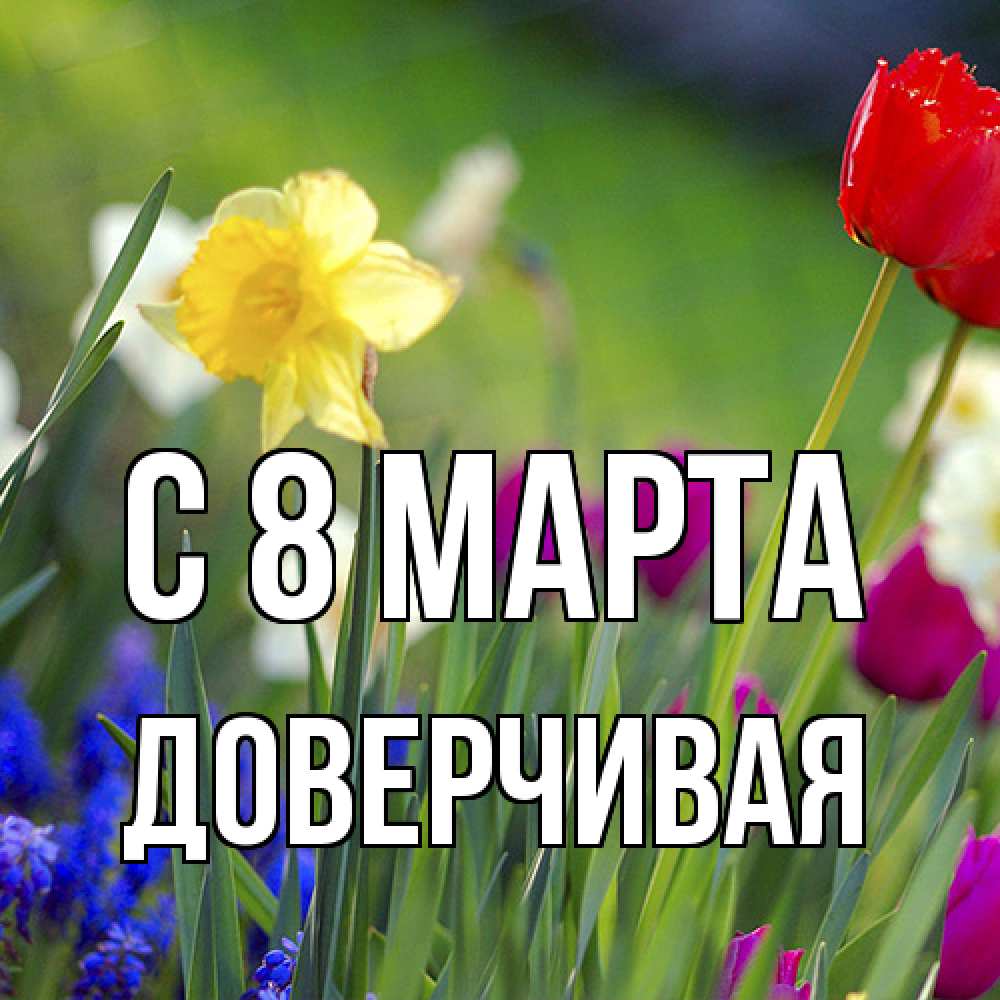 Открытка на каждый день с именем, Доверчивая C 8 МАРТА международный женский день 3 Прикольная открытка с пожеланием онлайн скачать бесплатно 