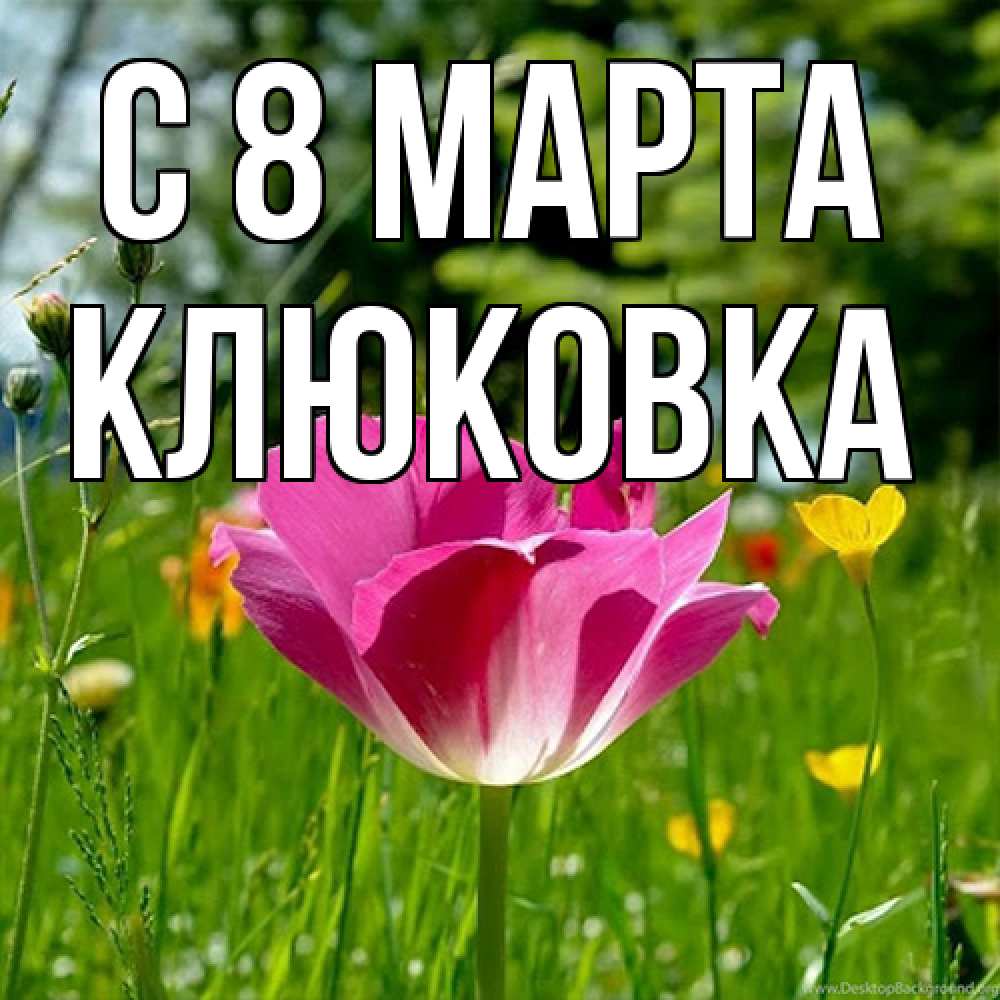 Открытка на каждый день с именем, клюковка C 8 МАРТА полевые цветы Прикольная открытка с пожеланием онлайн скачать бесплатно 