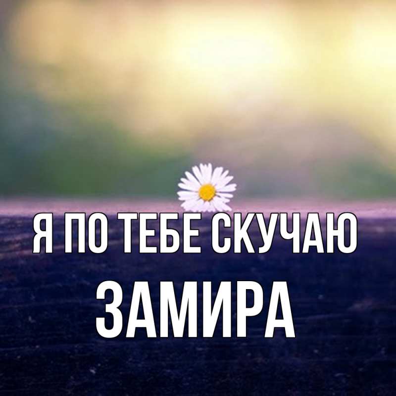 Картинка Я по тебе скучаю, Замира