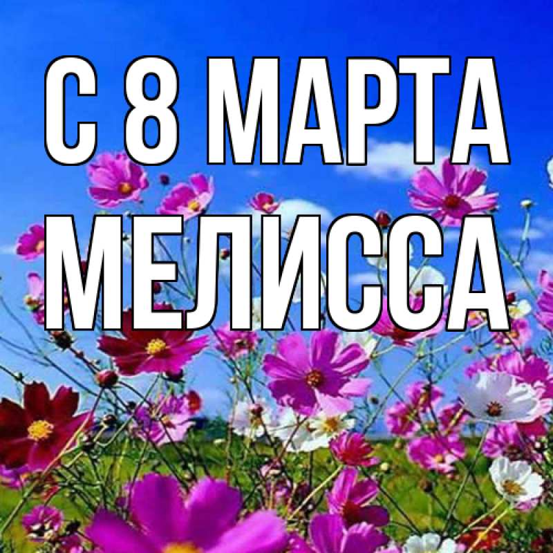 Картинка C 8 МАРТА, Мелисса