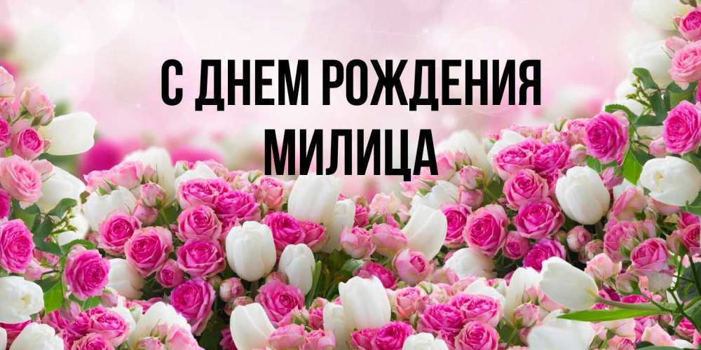 Открытка на каждый день с именем, Милица С днем рождения открытка с разными розами Прикольная открытка с пожеланием онлайн скачать бесплатно 
