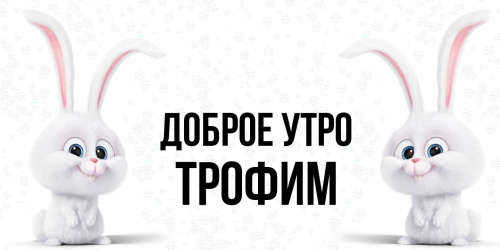 Открытка на каждый день с именем, Трофим Доброе утро кролики с длинными ушками Прикольная открытка с пожеланием онлайн скачать бесплатно 