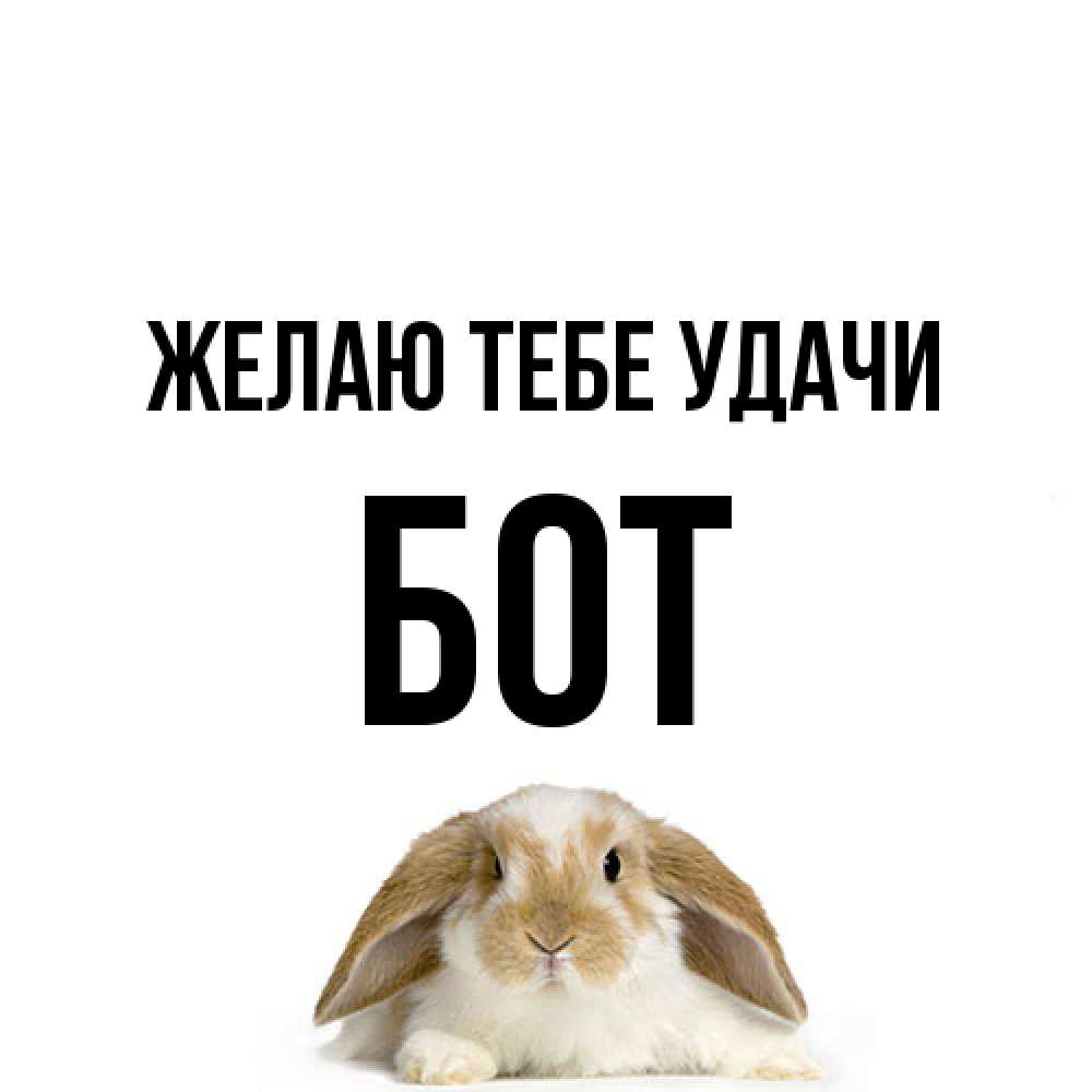 Открытка на каждый день с именем, Бот Желаю тебе удачи открытки с произвольным текстом который можно вставить в открытку и создать ее самостоятельно бесплатно онлайн Прикольная открытка с пожеланием онлайн скачать бесплатно 