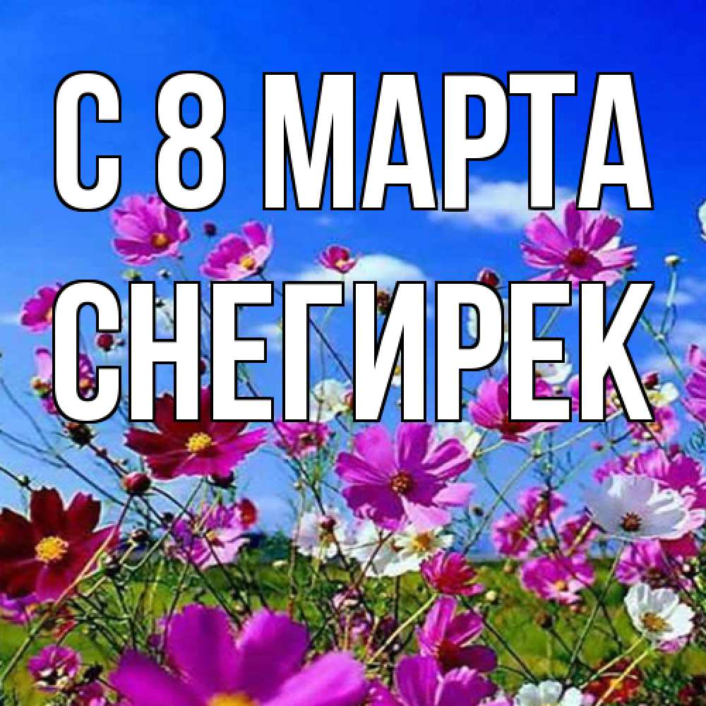 Открытка на каждый день с именем, снегирек C 8 МАРТА цветы Прикольная открытка с пожеланием онлайн скачать бесплатно 