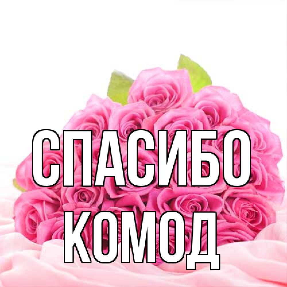 Открытка на каждый день с именем, Комод Спасибо розовые розы с подписью Прикольная открытка с пожеланием онлайн скачать бесплатно 