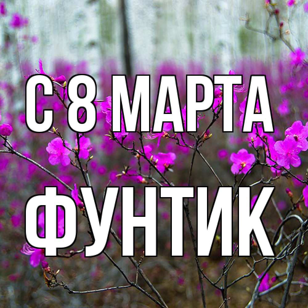 Открытка на каждый день с именем, фунтик C 8 МАРТА дикие цветы Прикольная открытка с пожеланием онлайн скачать бесплатно 