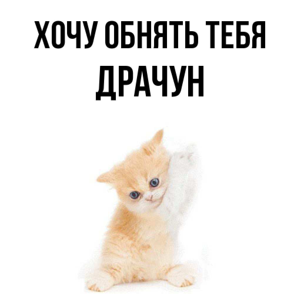 Открытка на каждый день с именем, Драчун Хочу обнять тебя я хочу очень скорее обнимаешек Прикольная открытка с пожеланием онлайн скачать бесплатно 