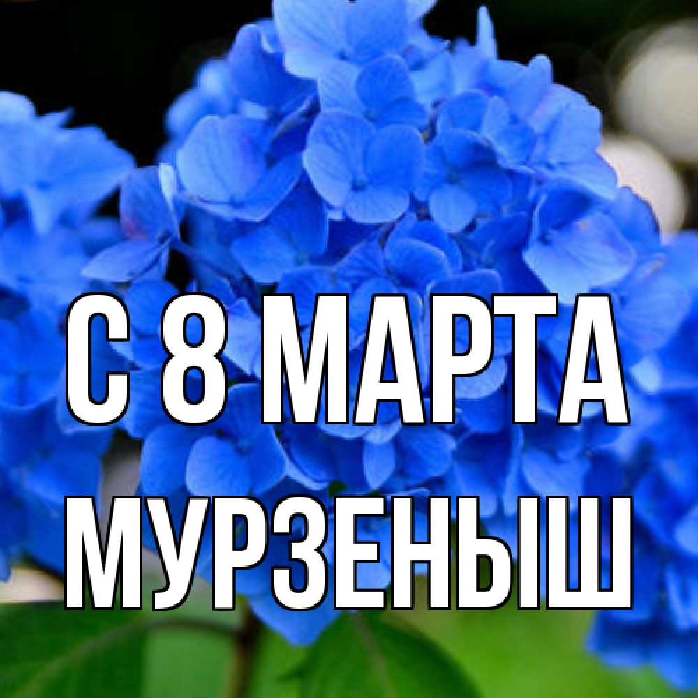 Открытка на каждый день с именем, мурзеныш C 8 МАРТА синие цветы Прикольная открытка с пожеланием онлайн скачать бесплатно 