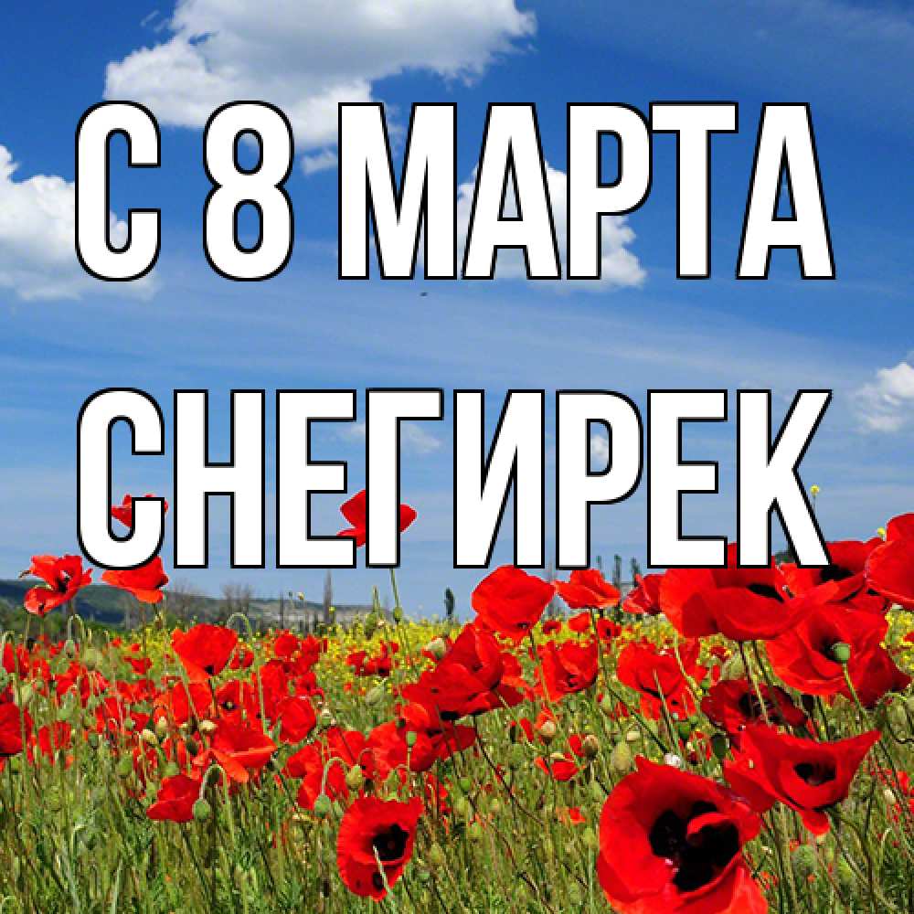 Открытка на каждый день с именем, снегирек C 8 МАРТА международный женский день 1 Прикольная открытка с пожеланием онлайн скачать бесплатно 