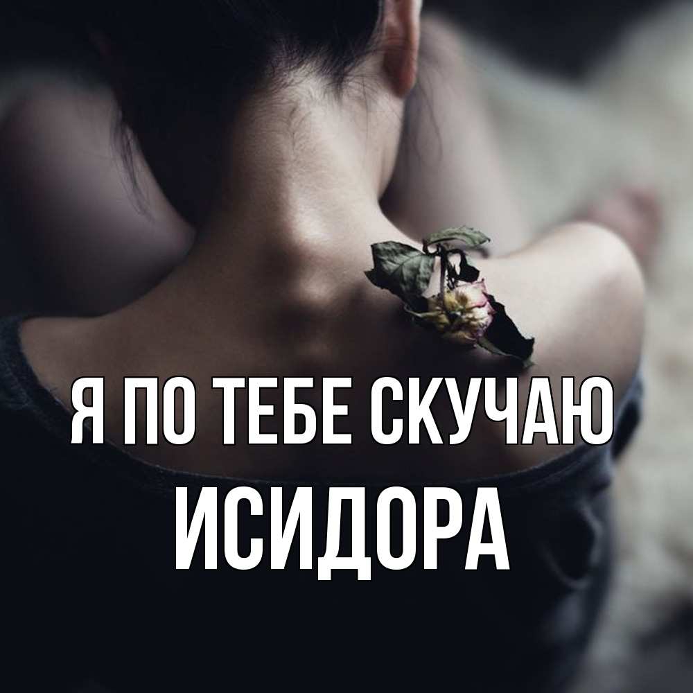 Открытка на каждый день с именем, Исидора Я по тебе скучаю засох цветок Прикольная открытка с пожеланием онлайн скачать бесплатно 