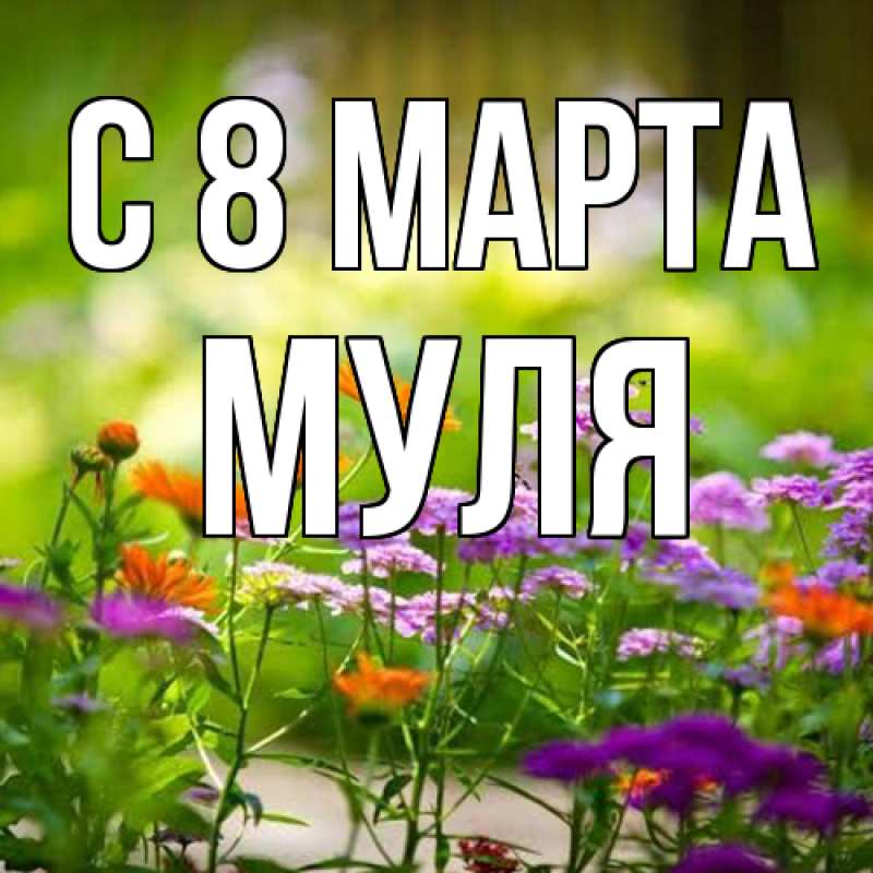 Картинка C 8 МАРТА, Муля