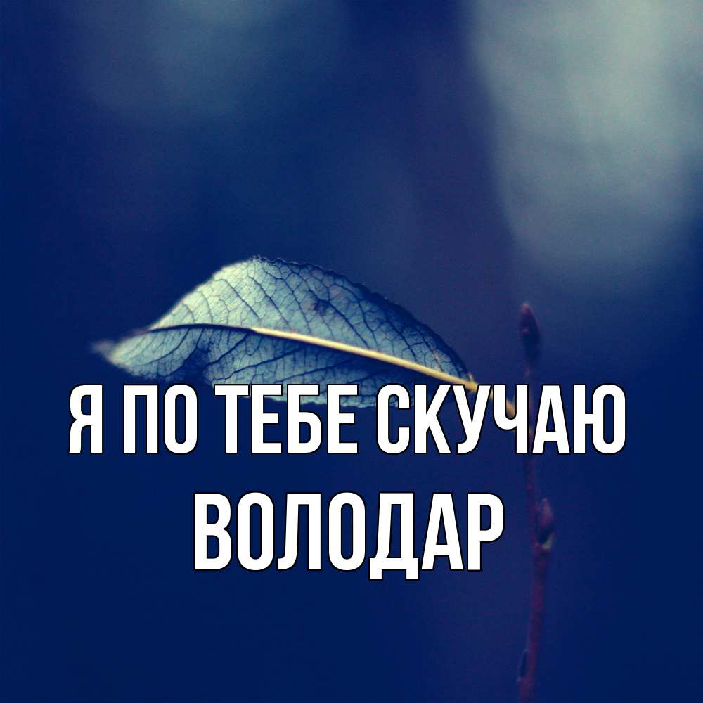Открытка на каждый день с именем, Володар Я по тебе скучаю одна ветка 1 Прикольная открытка с пожеланием онлайн скачать бесплатно 
