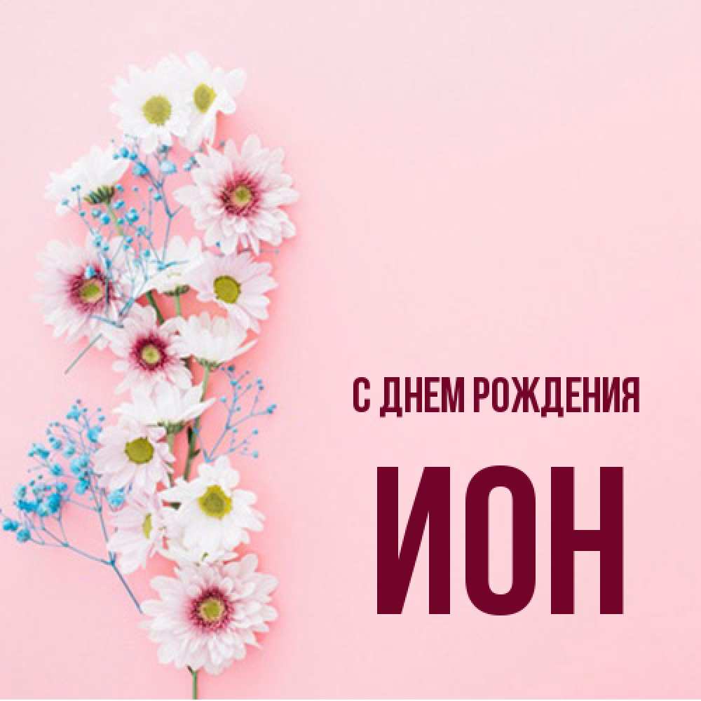 Открытка на каждый день с именем, Ион С днем рождения Родная моя с днем рождения тебя картинка с цветами белыми и голубыми Прикольная открытка с пожеланием онлайн скачать бесплатно 