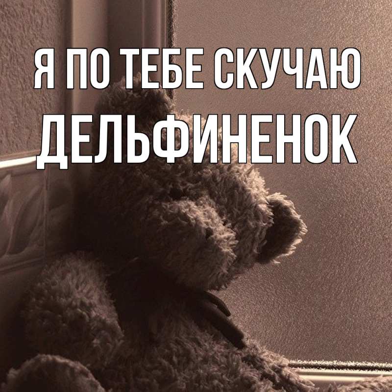 Картинка Я по тебе скучаю, дельфиненок
