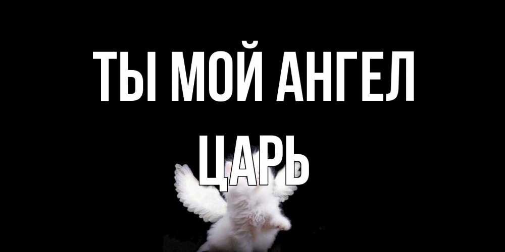 Открытка на каждый день с именем, Царь Ты мой ангел Кот ангел Прикольная открытка с пожеланием онлайн скачать бесплатно 