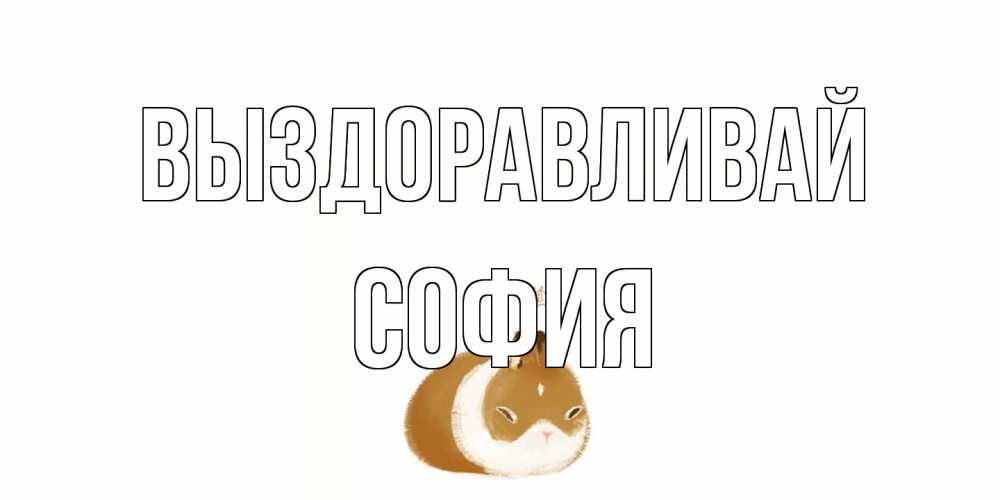 Открытка на каждый день с именем, София Выздоравливай морская свинка на открытке с пожеланиями не болеть Прикольная открытка с пожеланием онлайн скачать бесплатно 