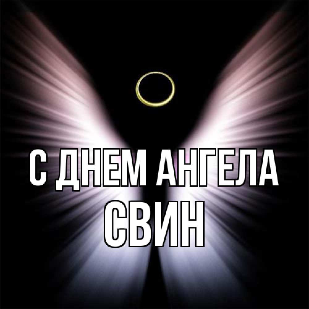 Открытка на каждый день с именем, Свин С днем ангела ангел из света Прикольная открытка с пожеланием онлайн скачать бесплатно 