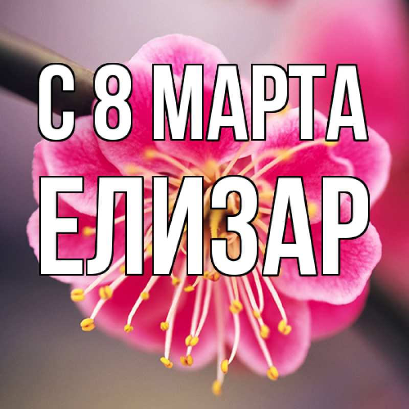 Картинка C 8 МАРТА, Елизар