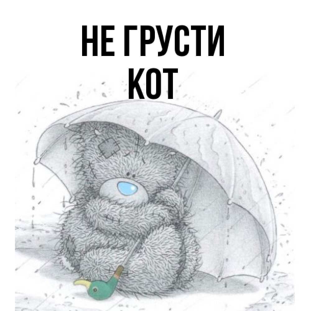 Открытка на каждый день с именем, Кот Не грусти спасите мишку Тедди Прикольная открытка с пожеланием онлайн скачать бесплатно 